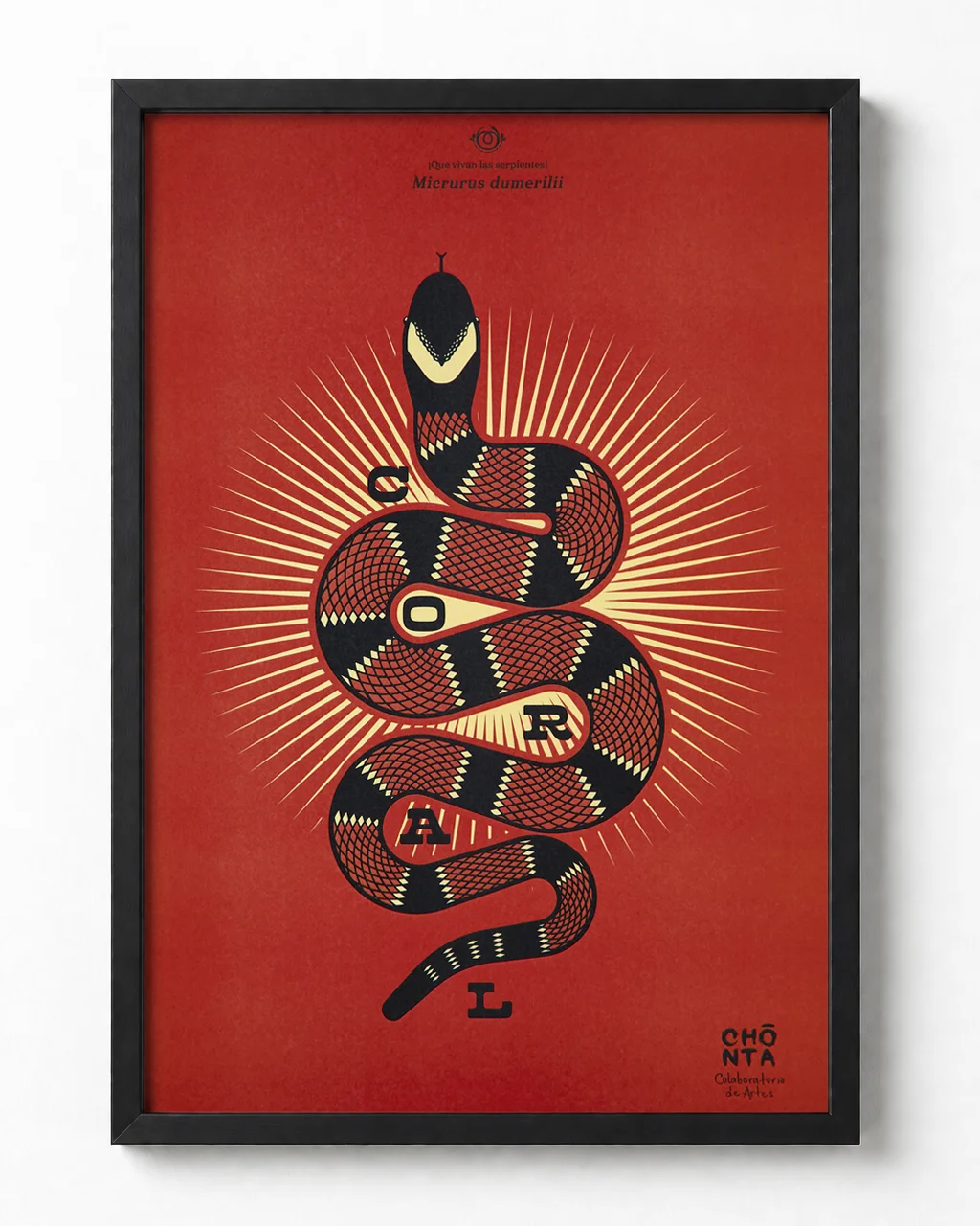 Afiche ilustrado Coral, Micrurus dumerilii, variante roja, serpiente colombiana